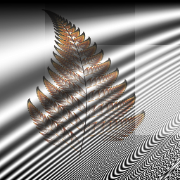 Encoded Nature fractile